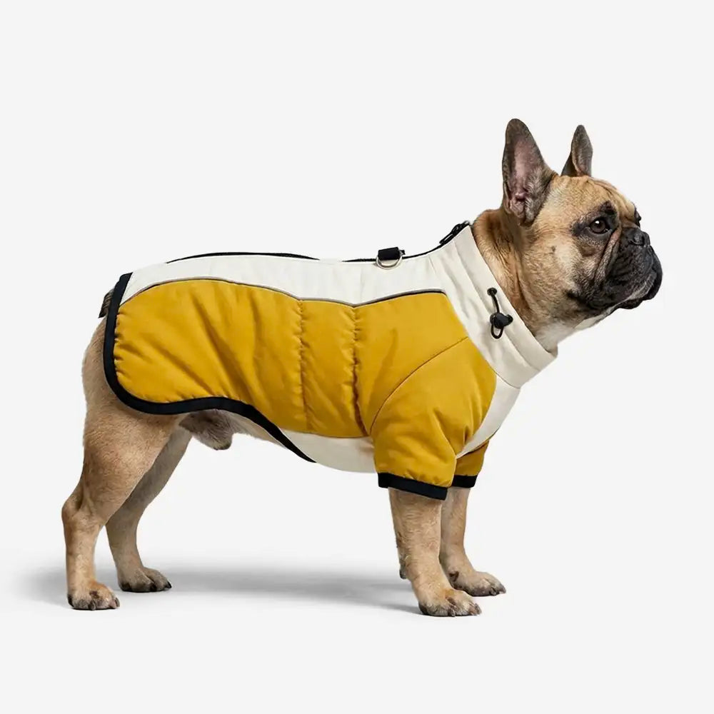 Retro Color-Block Fleece-Lined Warm Dog Coat with Leash Buckle – Dog Apparel (view 3) | Petix pet supplies for dogs and cats