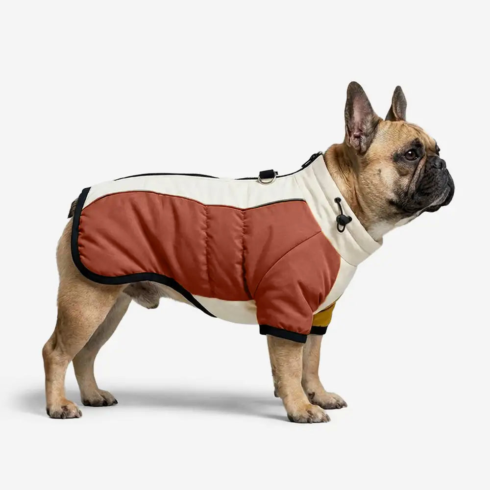 Retro Color-Block Fleece-Lined Warm Dog Coat with Leash Buckle – Dog Apparel (view 4) | Petix pet supplies for dogs and cats