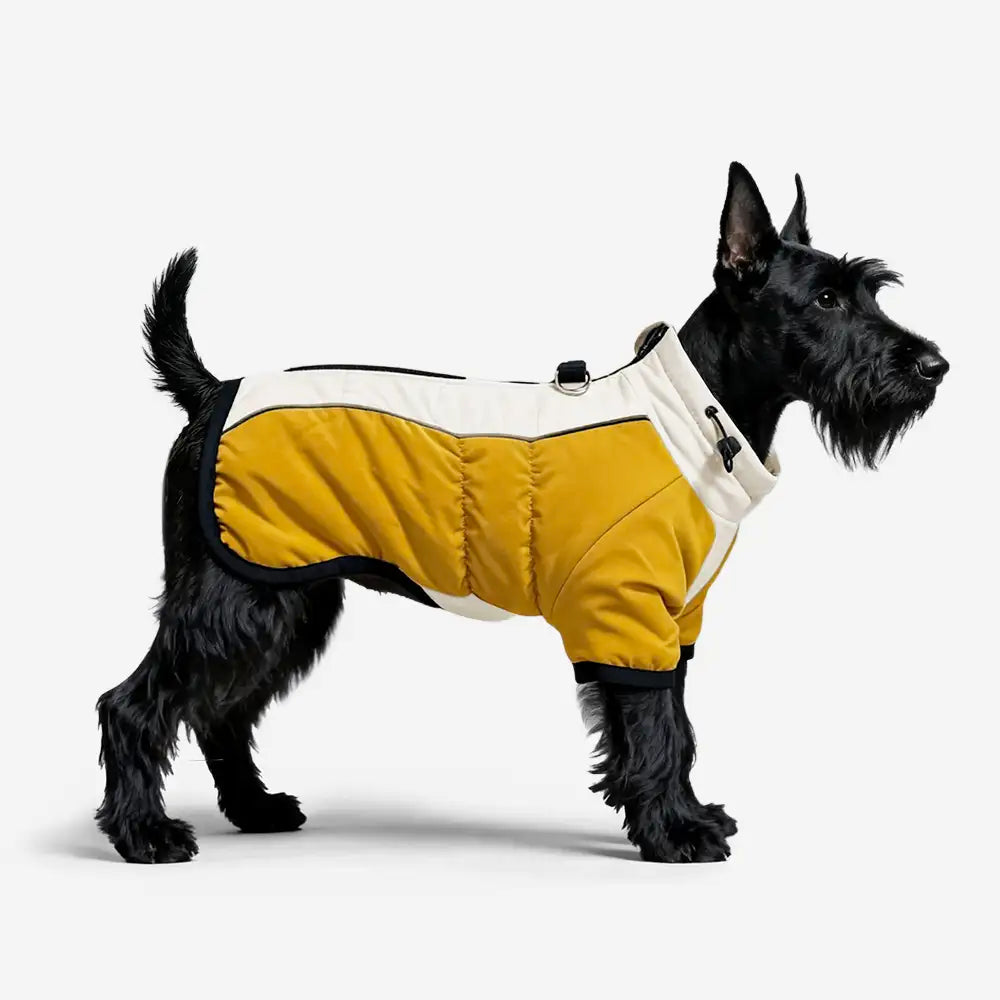 Retro Color-Block Fleece-Lined Warm Dog Coat with Leash Buckle – Dog Apparel (view 6) | Petix pet supplies for dogs and cats