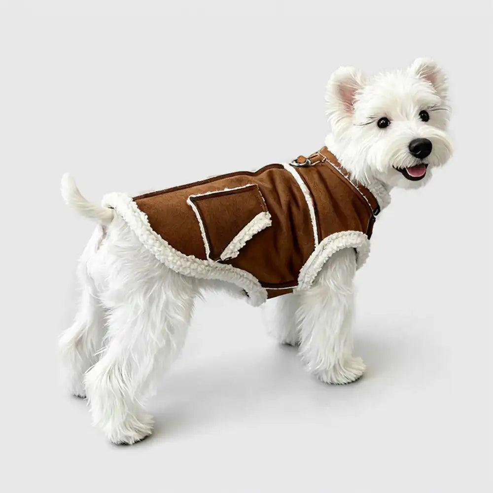 Retro Suede Dog Vest For Small Dogs – Dog Apparel (view 10) | Petix pet supplies for dogs and cats