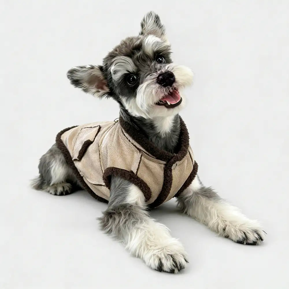 Retro Suede Dog Vest For Small Dogs – Dog Apparel (view 15) | Petix pet supplies for dogs and cats