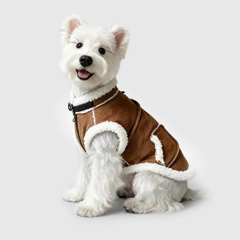 Retro Suede Dog Vest For Small Dogs – Dog Apparel (view 7) | Petix pet supplies for dogs and cats