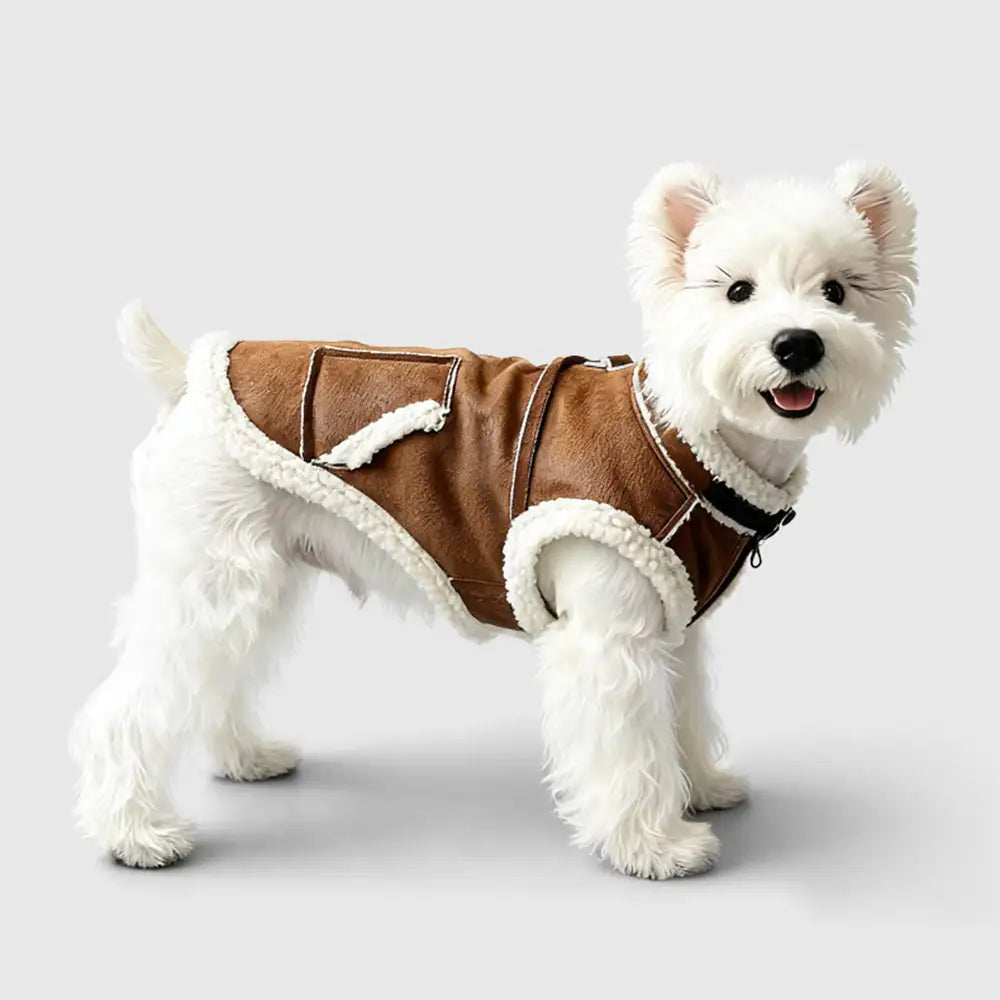 Retro Suede Dog Vest For Small Dogs – Dog Apparel (view 9) | Petix pet supplies for dogs and cats