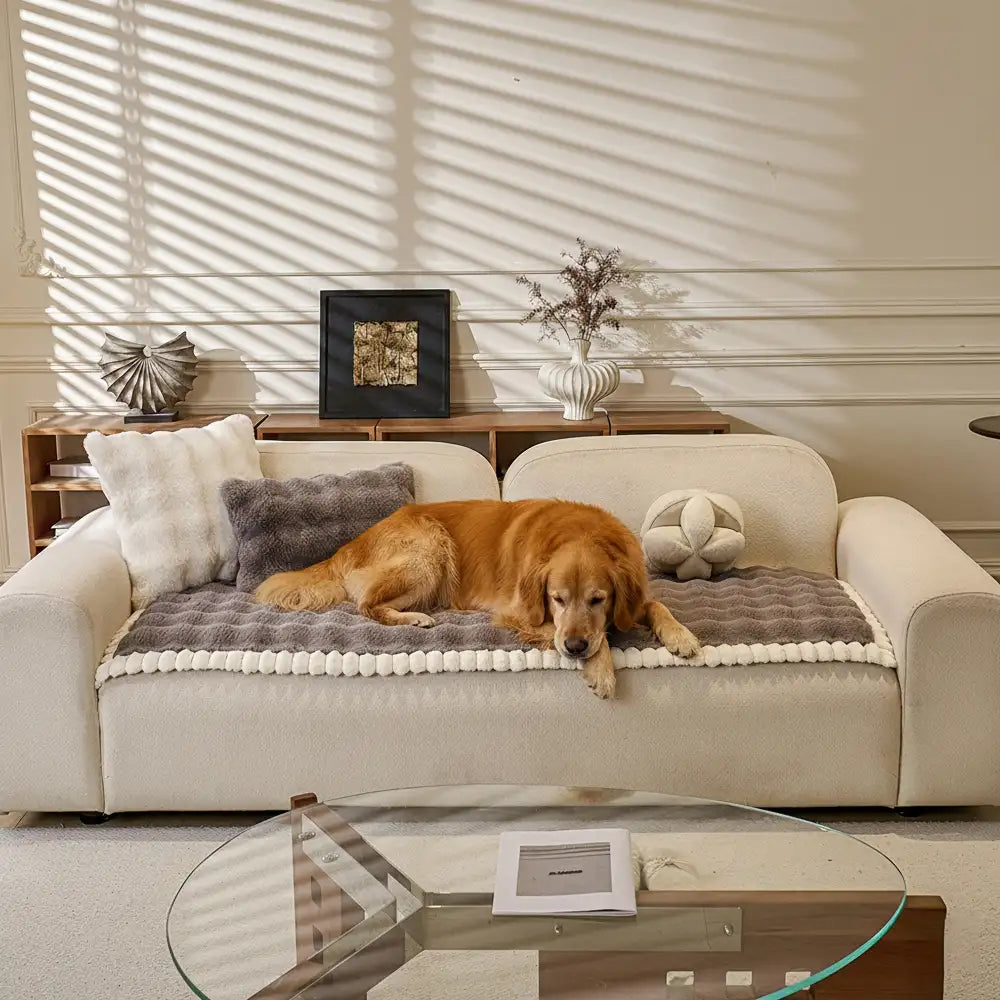 Soft Faux Rabbit Plush Thick Skin-Friendly Non-Slip Couch Cover – Couch Cover (view 8) | Petix pet supplies for dogs and cats