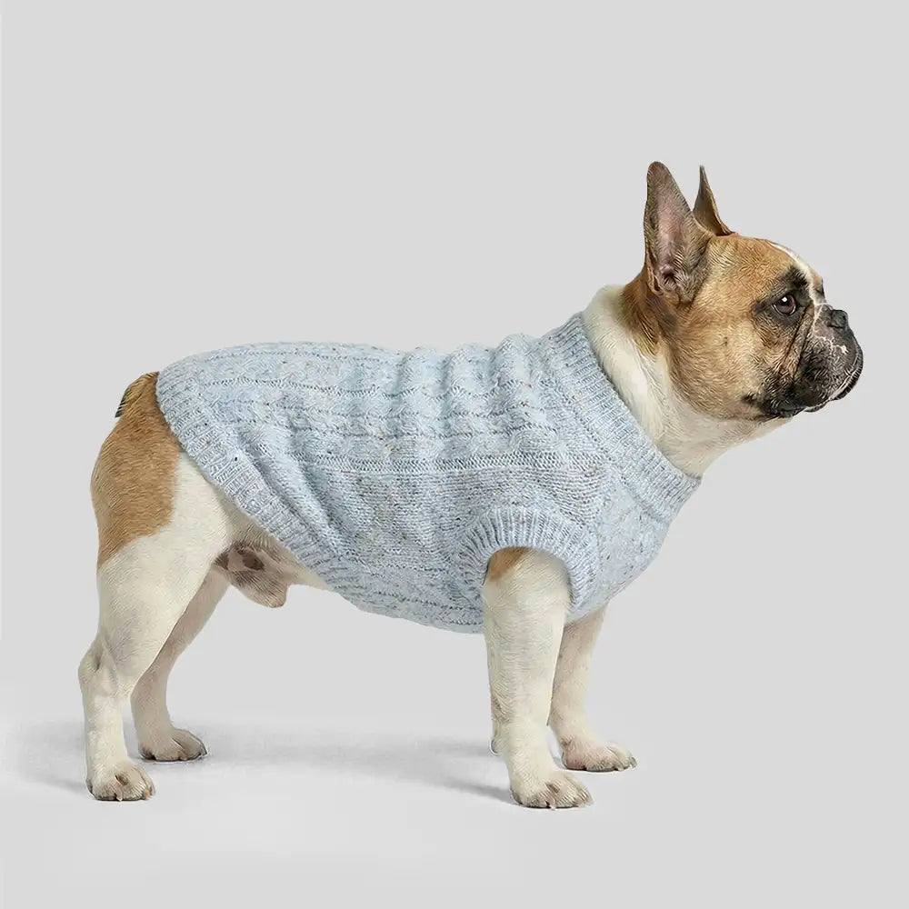 Soft Warm Thick-Knitted Dog Sweater – Designed For Dachshunds, French Bulldogs & Pugs… | Petix pet supplies for dogs and cats