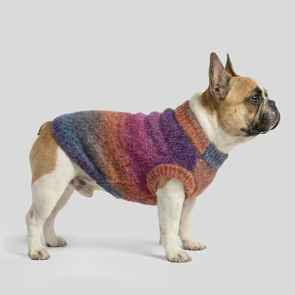 Soft Warm Thick-Knitted Dog Sweater – Designed For Dachshunds, French Bulldogs & Pugs… | Petix pet supplies for dogs and cats