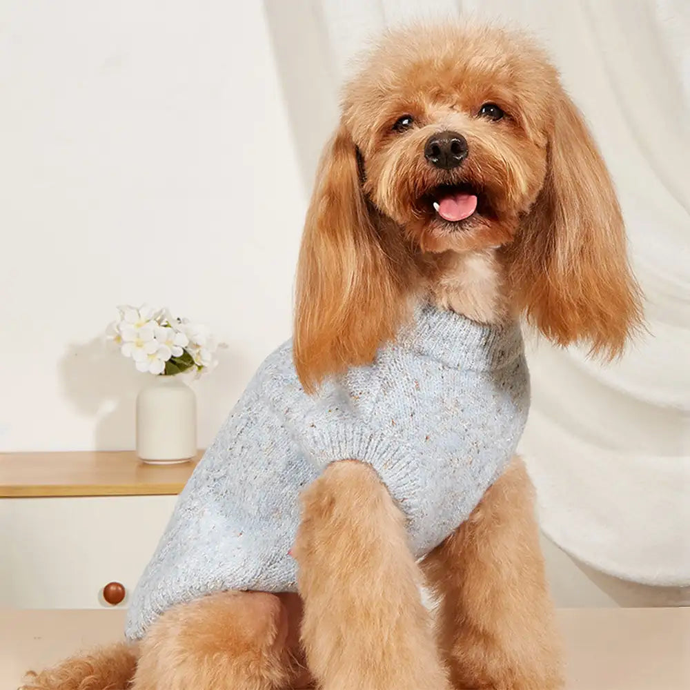 Soft Warm Thick-Knitted Dog Sweater – Designed For Dachshunds, French Bulldogs & Pugs… | Petix pet supplies for dogs and cats