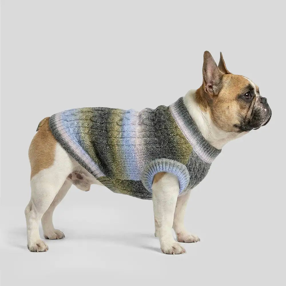 Soft Warm Thick-Knitted Dog Sweater – Designed For Dachshunds, French Bulldogs & Pugs… | Petix pet supplies for dogs and cats