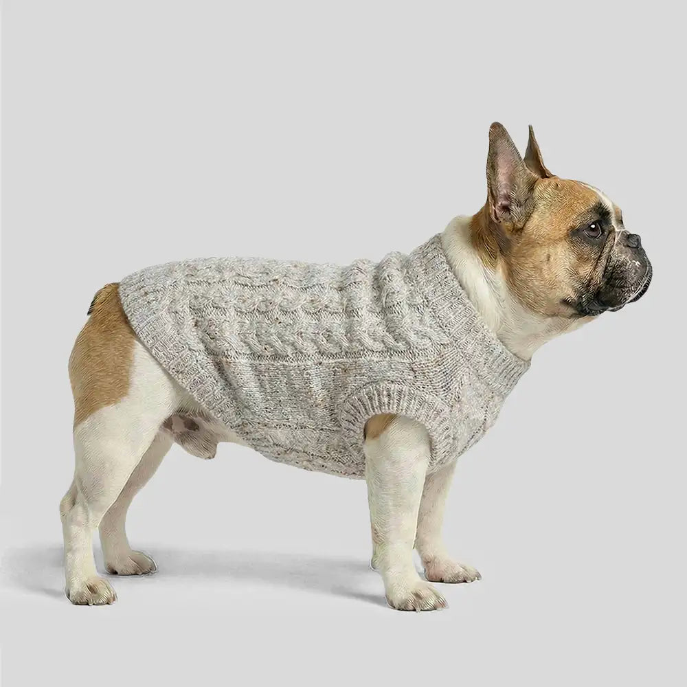 Soft Warm Thick-Knitted Dog Sweater – Designed For Dachshunds, French Bulldogs & Pugs… | Petix pet supplies for dogs and cats