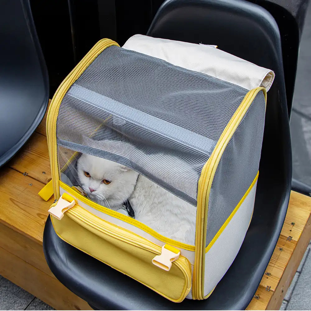 Spacious Lightweight Cat Carrier Backpack with Transparent Window – Pet Carriers & Cra… | Petix pet supplies for dogs and cats