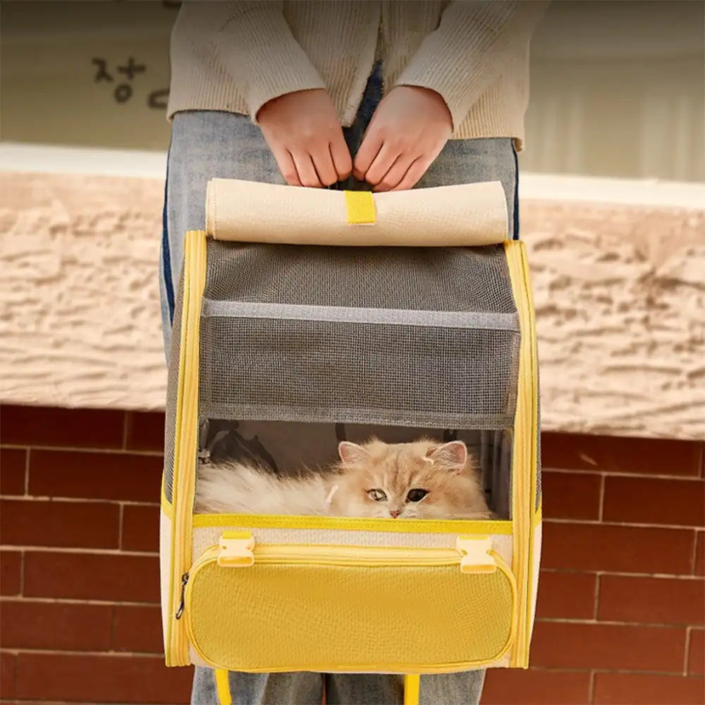 Spacious Lightweight Cat Carrier Backpack with Transparent Window – Pet Carriers & Cra… | Petix pet supplies for dogs and cats