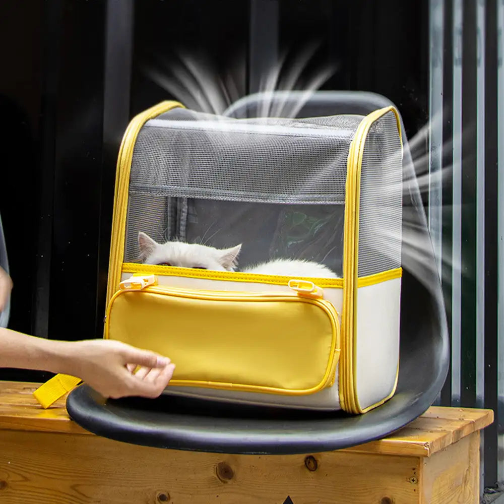 Spacious Lightweight Cat Carrier Backpack with Transparent Window – Pet Carriers & Cra… | Petix pet supplies for dogs and cats
