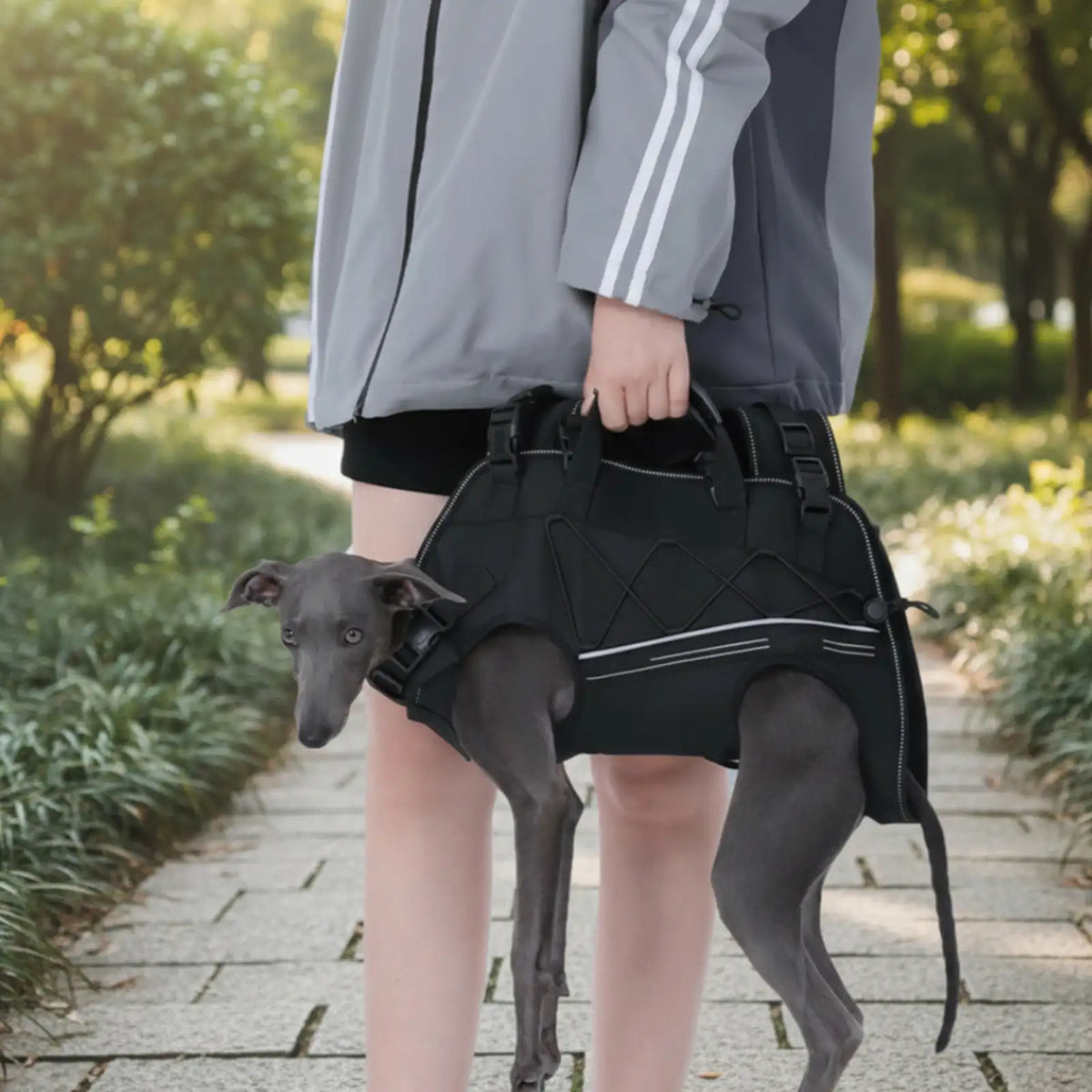 Spine-Friendly Horizontal Dog Backpack Carrier with Adjustable Padded Straps - Legs-Ou… | Petix pet supplies for dogs and cats