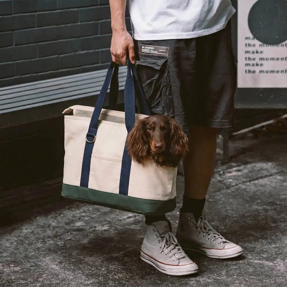 Sporty Stylish Portable Dog Cat Carrier Large Capacity Pet Carrier Bag For Travel and… | Petix pet supplies for dogs and cats