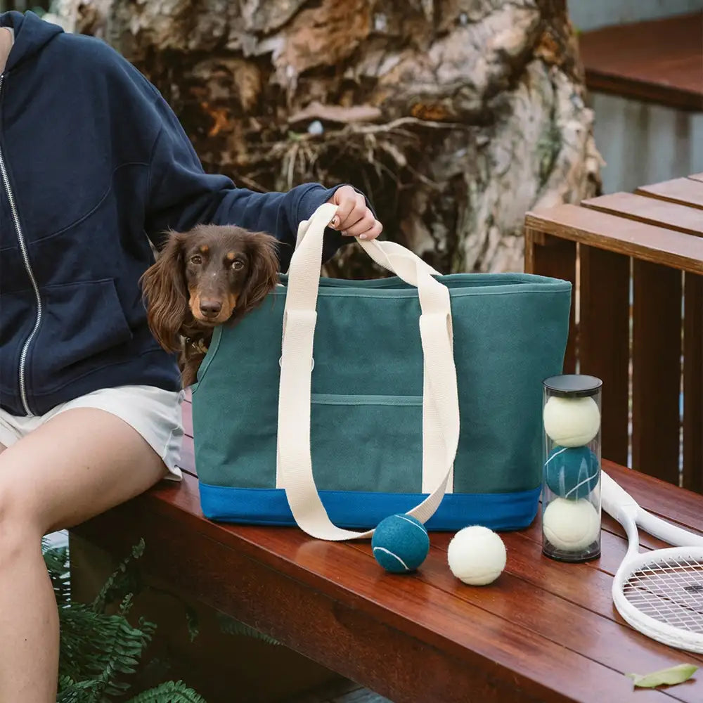 Sporty Stylish Portable Dog Cat Carrier Large Capacity Pet Carrier Bag For Travel and… | Petix pet supplies for dogs and cats