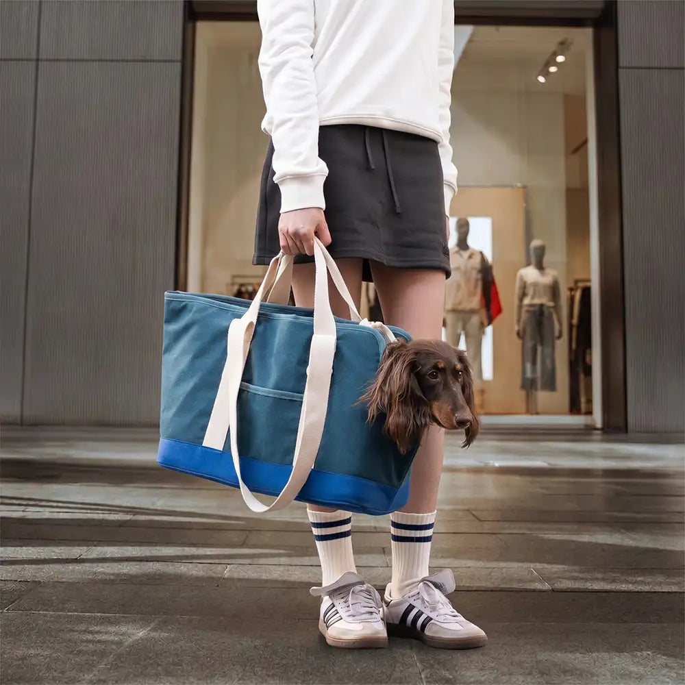 Sporty Stylish Portable Dog Cat Carrier Large Capacity Pet Carrier Bag For Travel and… | Petix pet supplies for dogs and cats