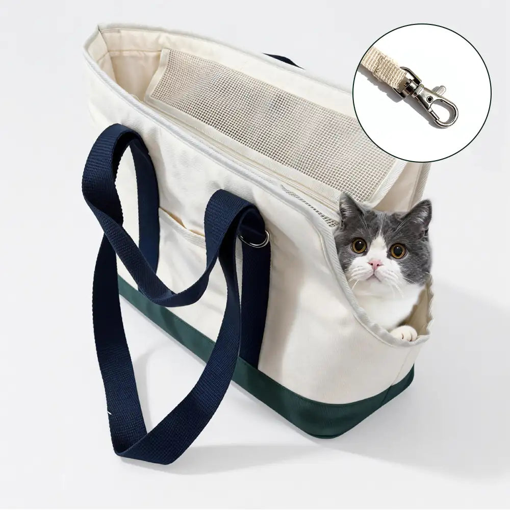 Sporty Stylish Portable Dog Cat Carrier Large Capacity Pet Carrier Bag For Travel and… | Petix pet supplies for dogs and cats