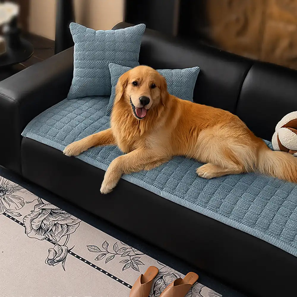 Square Corduroy Anti-Scratch Fabric Pet Friendly Non-Slip Couch Cover – Couch Cover (v… | Petix pet supplies for dogs and cats
