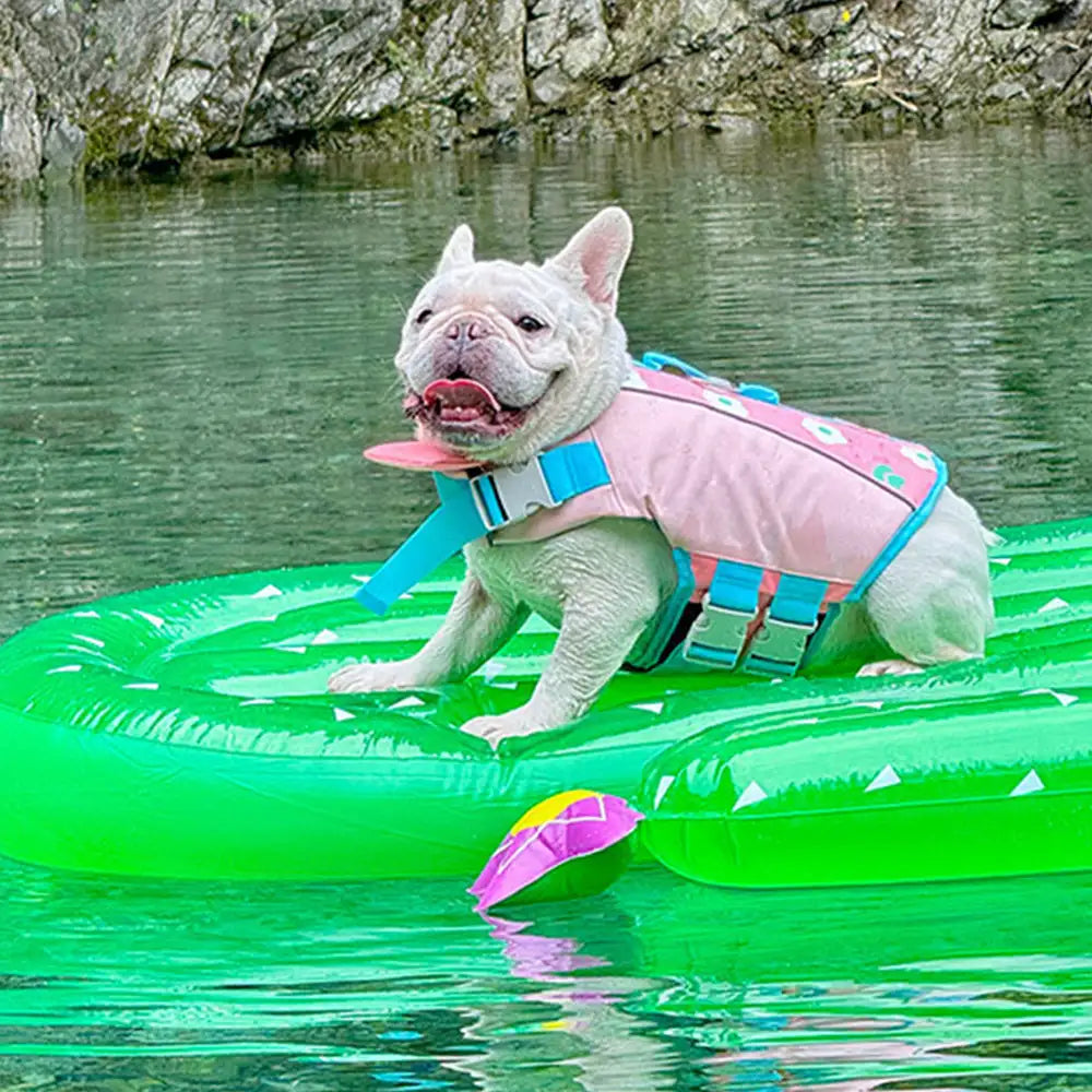 Stylish Color-Blocked Dog Life Jacket – Dog Apparel (view 11) | Petix pet supplies for dogs and cats