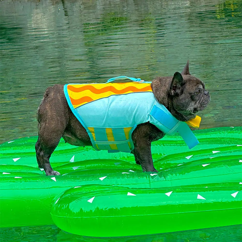 Stylish Color-Blocked Dog Life Jacket – Dog Apparel (view 12) | Petix pet supplies for dogs and cats