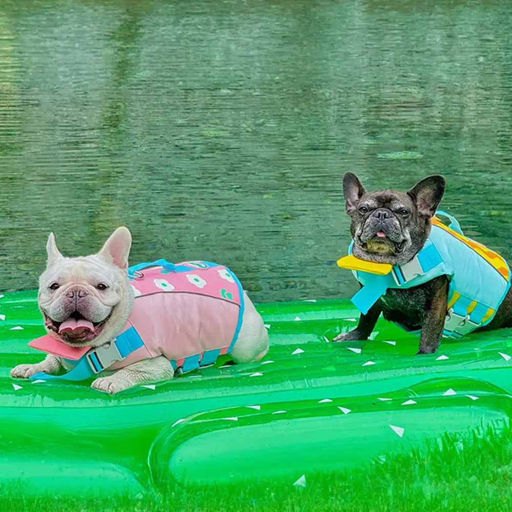 Stylish Color-Blocked Dog Life Jacket – Dog Apparel (view 3) | Petix pet supplies for dogs and cats