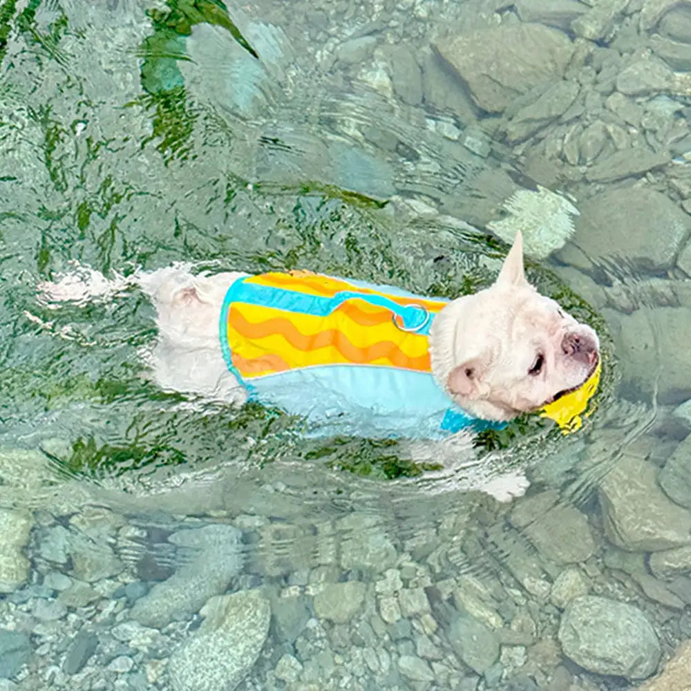 Stylish Color-Blocked Dog Life Jacket – Dog Apparel (view 4) | Petix pet supplies for dogs and cats