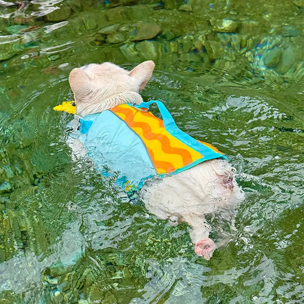 Stylish Color-Blocked Dog Life Jacket – Dog Apparel (view 5) | Petix pet supplies for dogs and cats