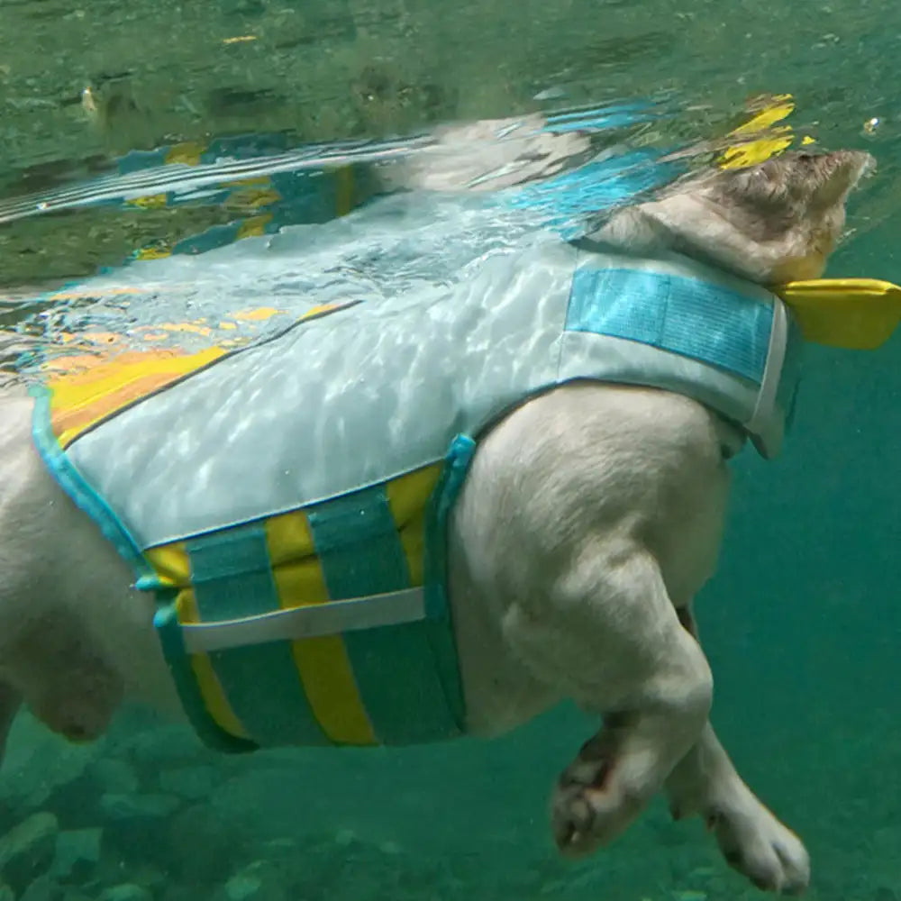 Stylish Color-Blocked Dog Life Jacket – Dog Apparel (view 8) | Petix pet supplies for dogs and cats