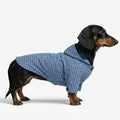 Stylish Dual-Sided Reversible Wear Windproof Outdoor Dog Jacket – Dog Apparel (main) | Petix pet supplies for dogs and cats
