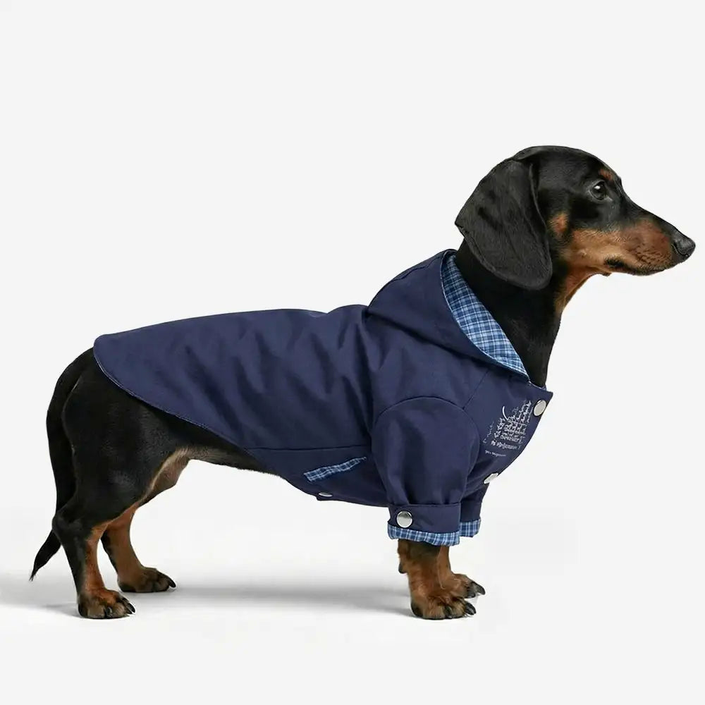 Stylish Dual-Sided Reversible Wear Windproof Outdoor Dog Jacket – Dog Apparel (view 2) | Petix pet supplies for dogs and cats