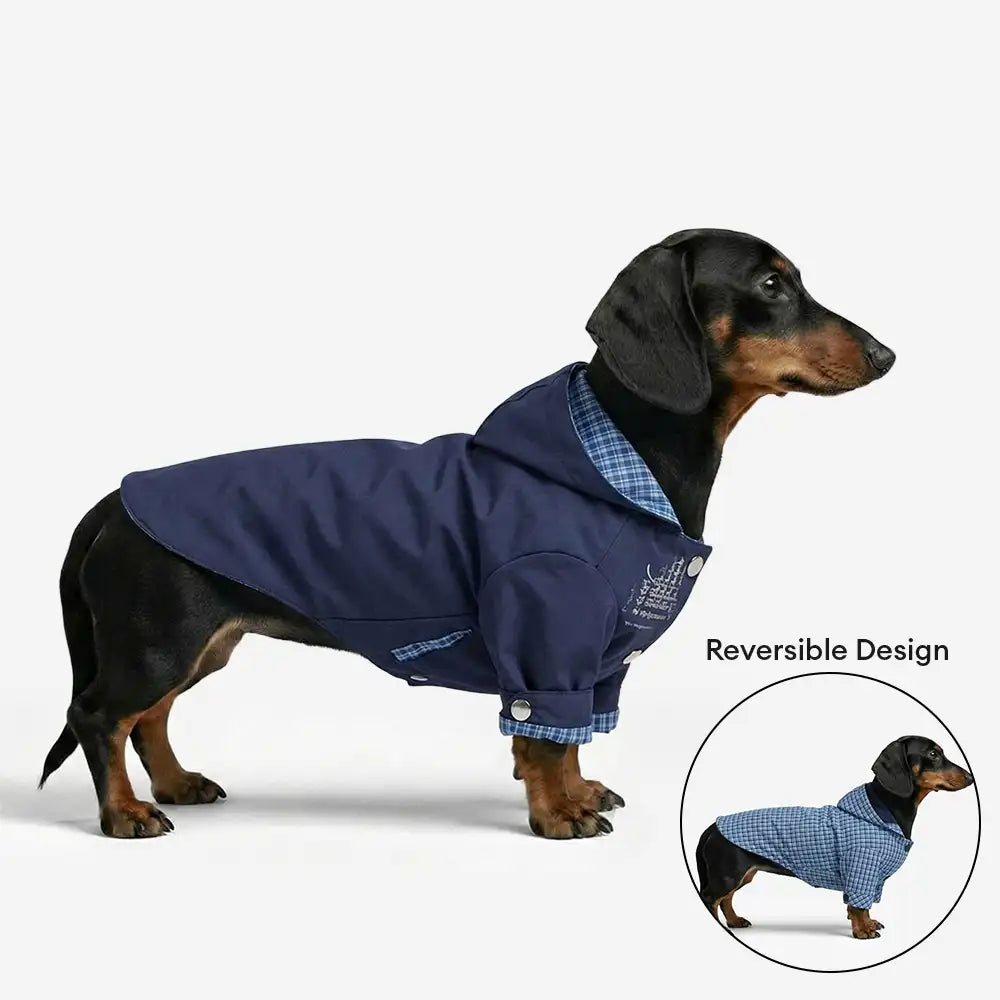 Stylish Dual-Sided Reversible Wear Windproof Outdoor Dog Jacket – Dog Apparel (view 3) | Petix pet supplies for dogs and cats