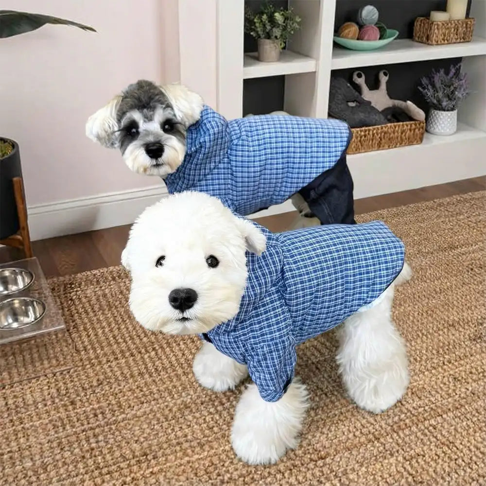 Stylish Dual-Sided Reversible Wear Windproof Outdoor Dog Jacket – Dog Apparel (view 5) | Petix pet supplies for dogs and cats
