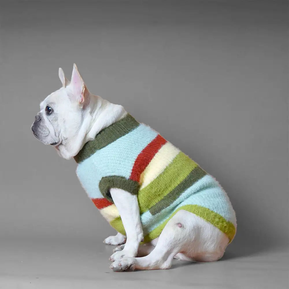 Stylish Striped Stand-Up Collar Knitted Plush Dog Sweater – Dog Apparel (view 3) | Petix pet supplies for dogs and cats
