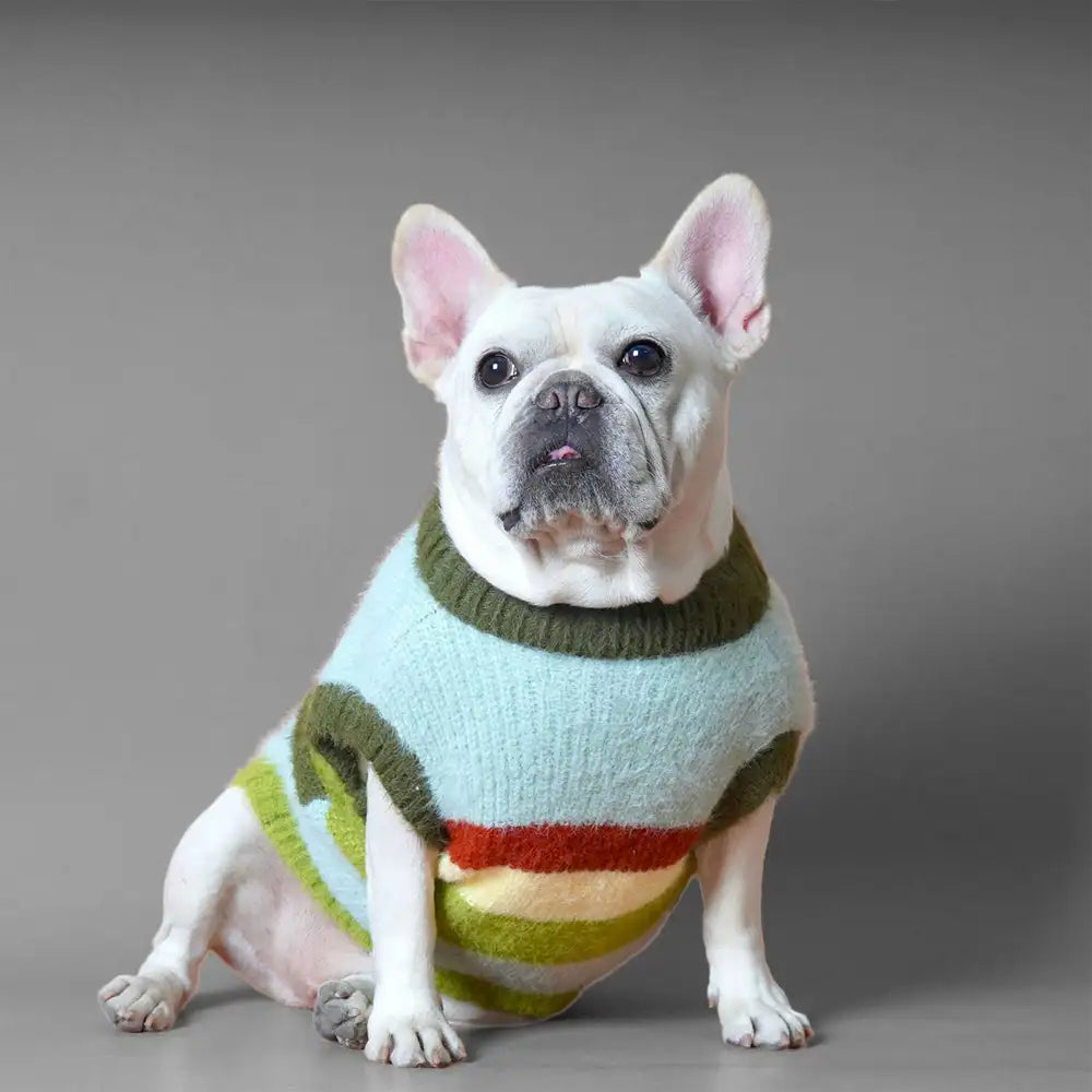 Stylish Striped Stand-Up Collar Knitted Plush Dog Sweater – Dog Apparel (view 4) | Petix pet supplies for dogs and cats