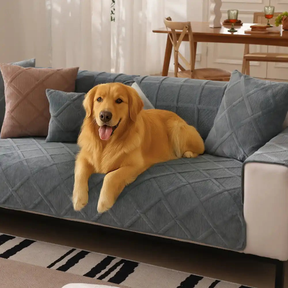 Velvety Soft Short Plush Modern Interiors Couch Cover – Couch Cover (view 3) | Petix pet supplies for dogs and cats