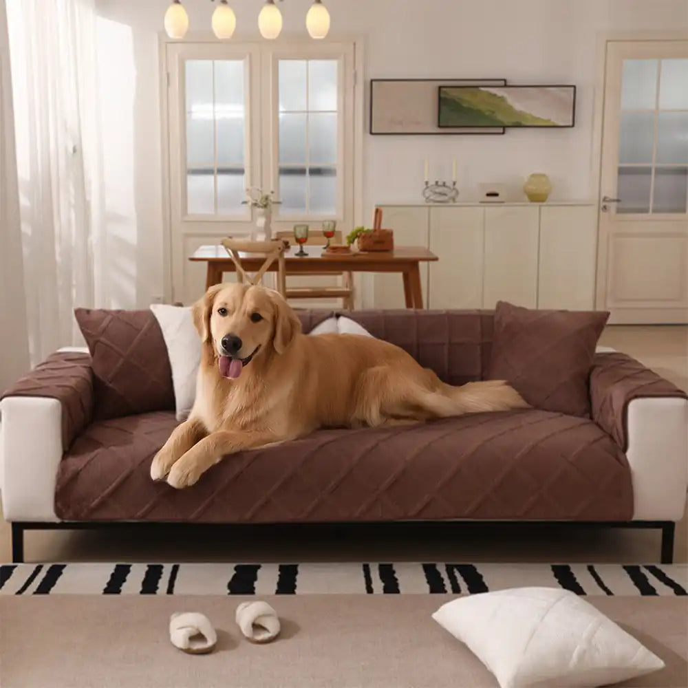Velvety Soft Short Plush Modern Interiors Couch Cover – Couch Cover (view 6) | Petix pet supplies for dogs and cats