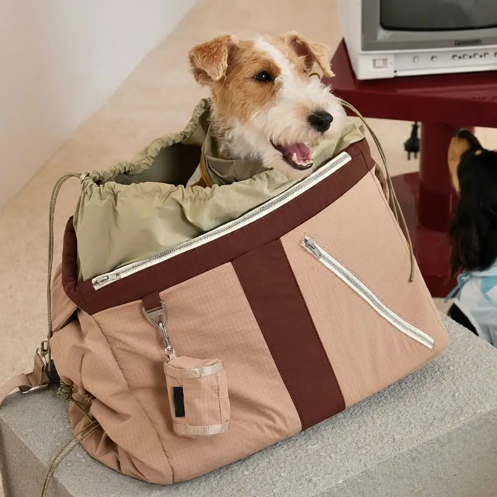 Vintage Breezy Outdoor Waterproof Dog Cat Carrier Large-Capacity Travel Pet Carrier Ba… | Petix pet supplies for dogs and cats