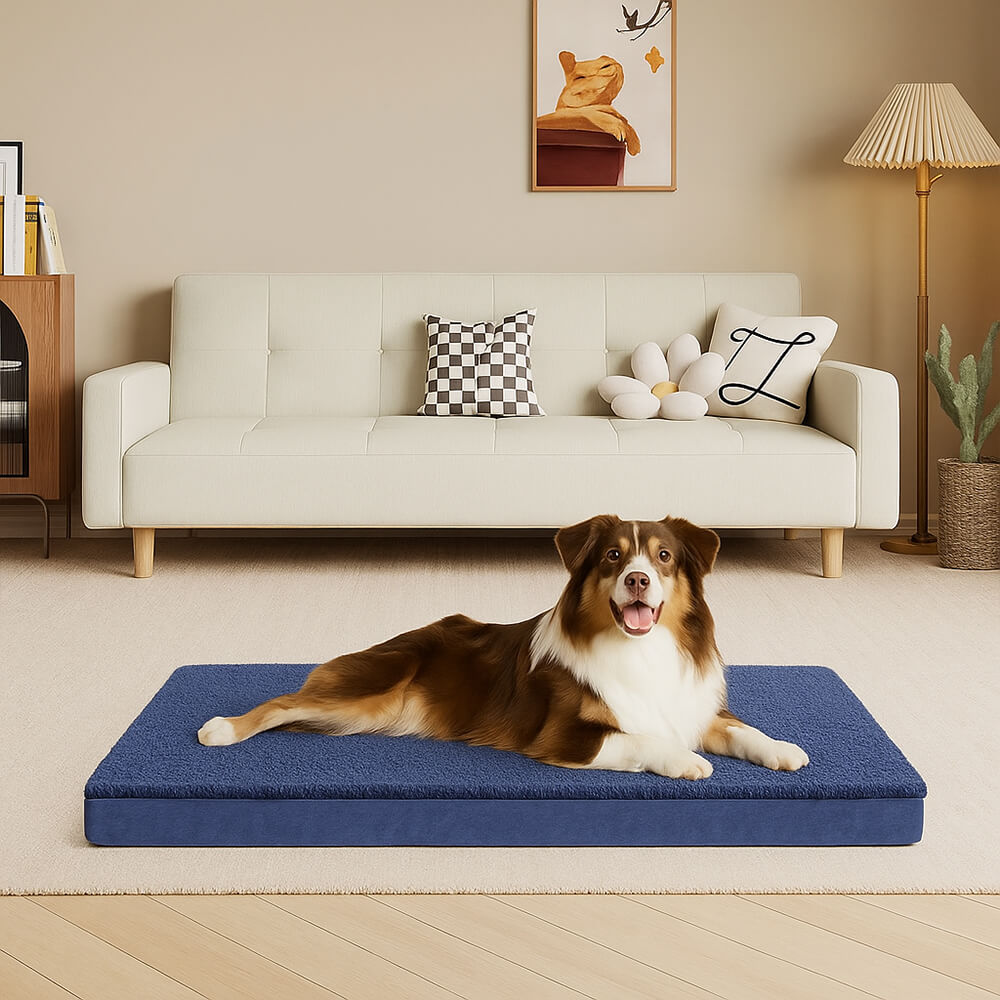 Waterproof Orthopedic Removable Memory Foam Large Dog Bed – Dog Beds (main) | Petix pet supplies for dogs and cats
