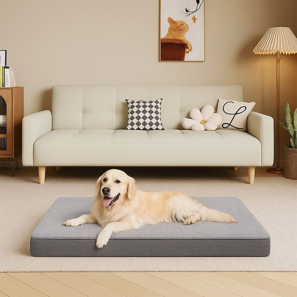 Waterproof Orthopedic Removable Memory Foam Large Dog Bed – Dog Beds (view 11) | Petix pet supplies for dogs and cats