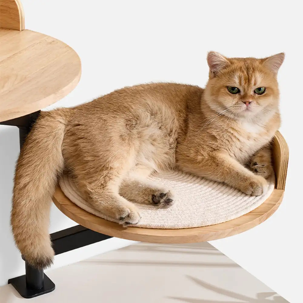 Wooden Adjustable Up and Down Elevated Habitat Cat Desk Bed – Cat Beds (view 2) | Petix pet supplies for dogs and cats