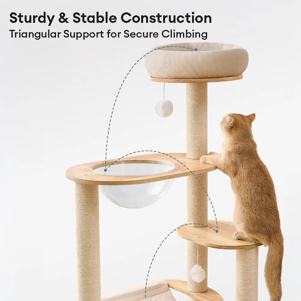 Wooden Multi-Level Climbing Frame Scratching Post Cat Tree With Hammock – Cat Tree (vi… | Petix pet supplies for dogs and cats