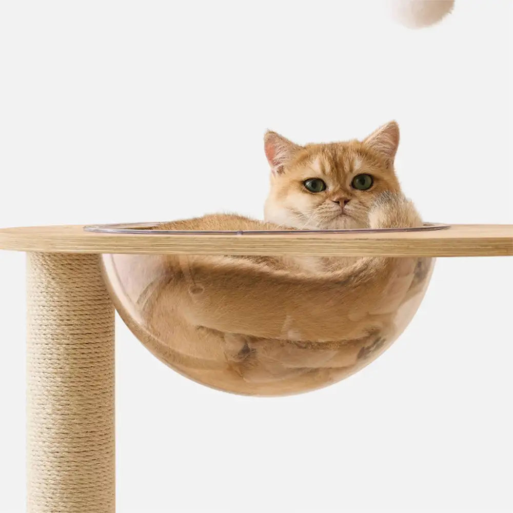 Wooden Multi-Level Climbing Frame Scratching Post Cat Tree With Hammock – Cat Tree (vi… | Petix pet supplies for dogs and cats