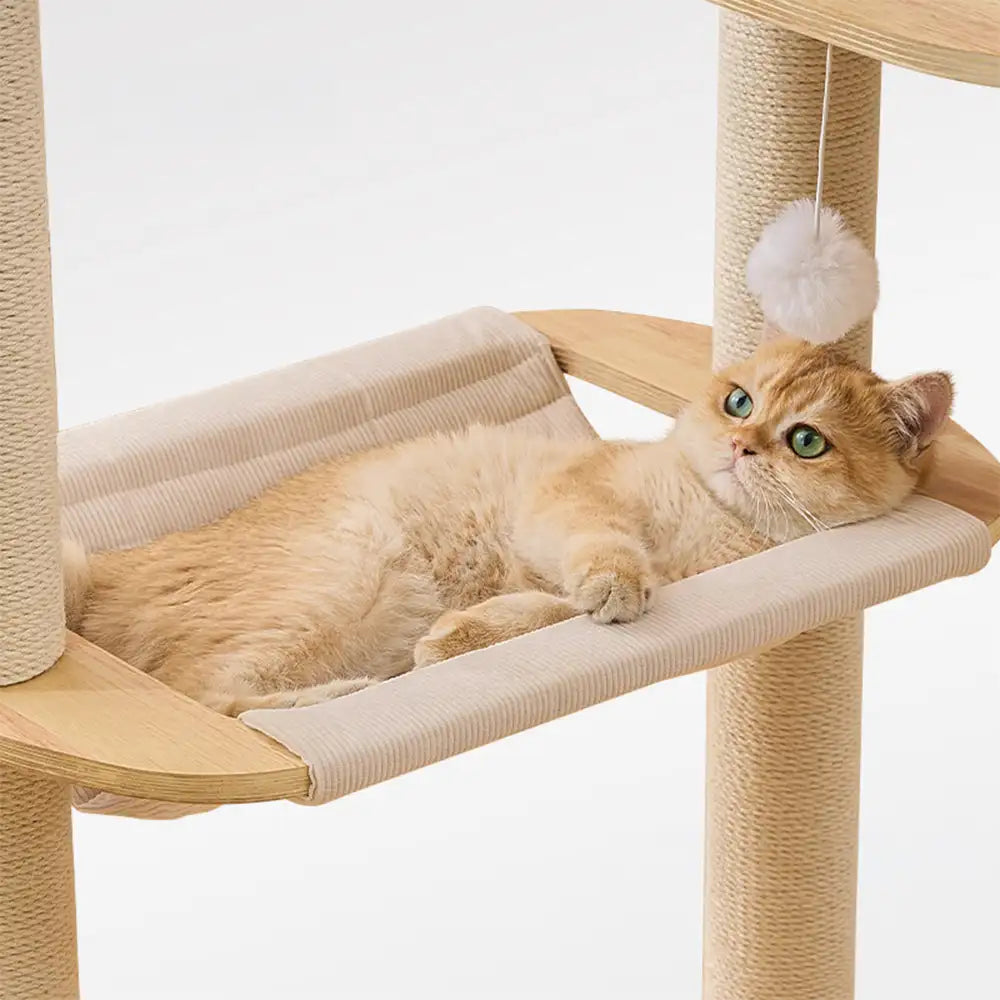 Wooden Multi-Level Climbing Frame Scratching Post Cat Tree With Hammock – Cat Tree (vi… | Petix pet supplies for dogs and cats