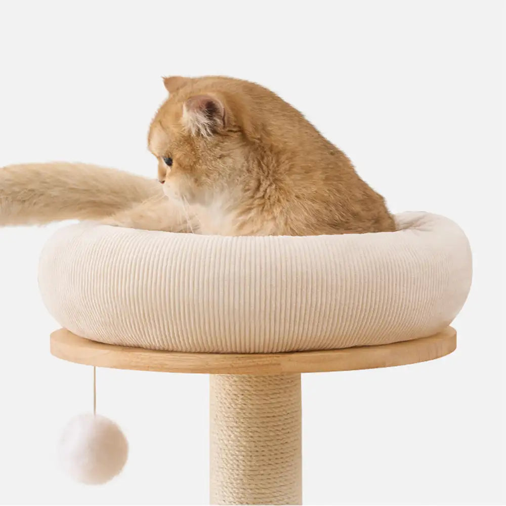 Wooden Multi-Level Climbing Frame Scratching Post Cat Tree With Hammock – Cat Tree (vi… | Petix pet supplies for dogs and cats