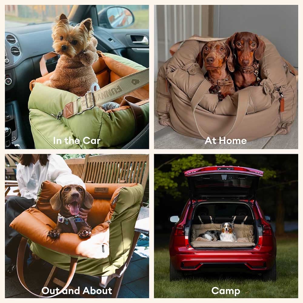 Urban Voyager ISOFIX Dog Car Seat with LATCH System - Dog Car Seat detail view 10 | Petix pet supplies for dogs and cats